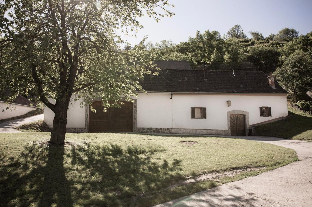 Ferienwohnung Am Weingut Eisenbock Strass  Eksteriør billede