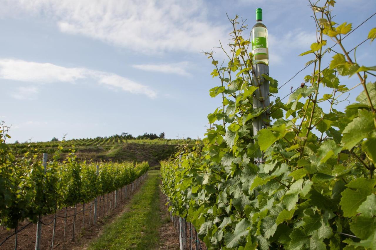Ferienwohnung Am Weingut Eisenbock Strass  Eksteriør billede