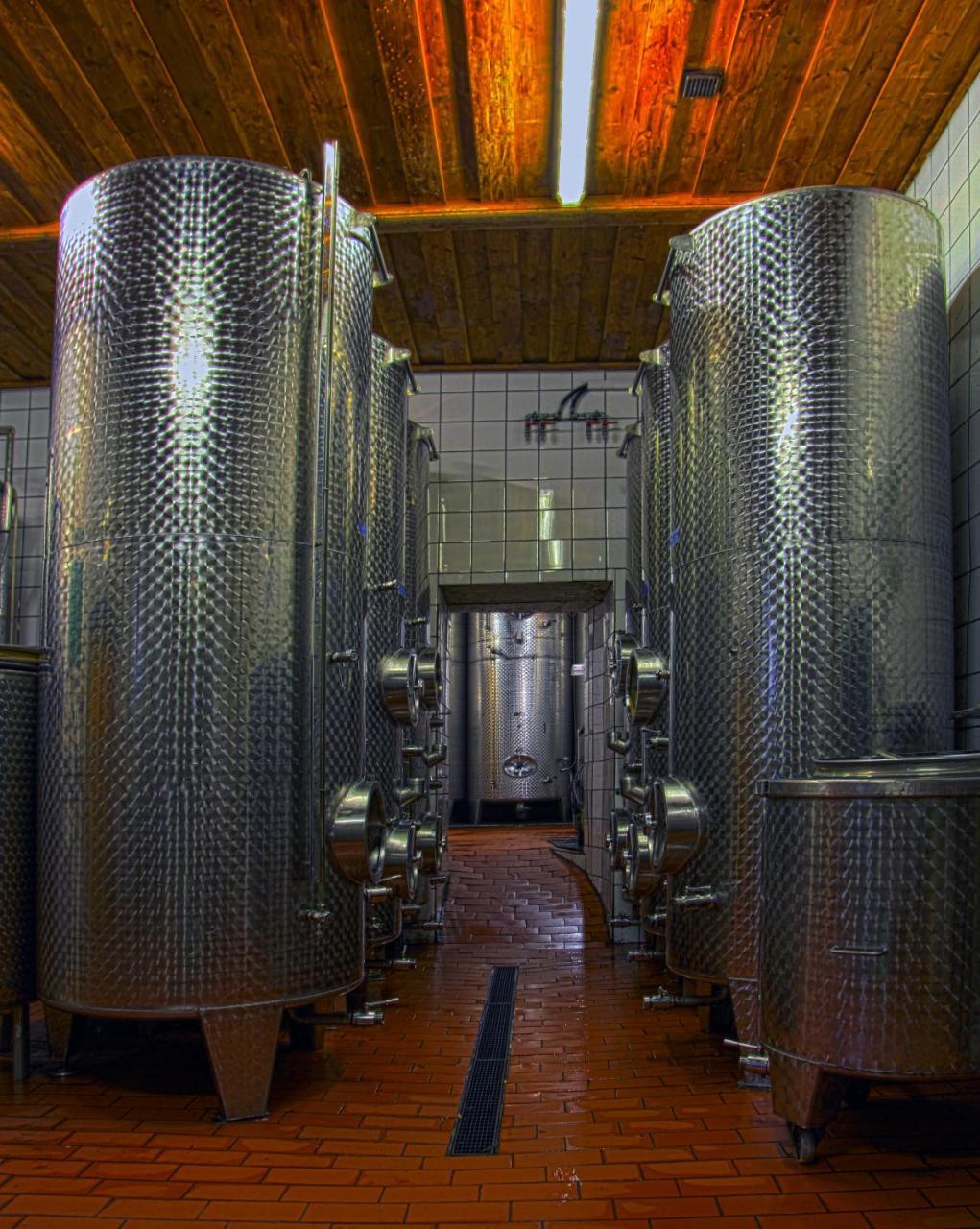 Ferienwohnung Am Weingut Eisenbock Strass  Eksteriør billede